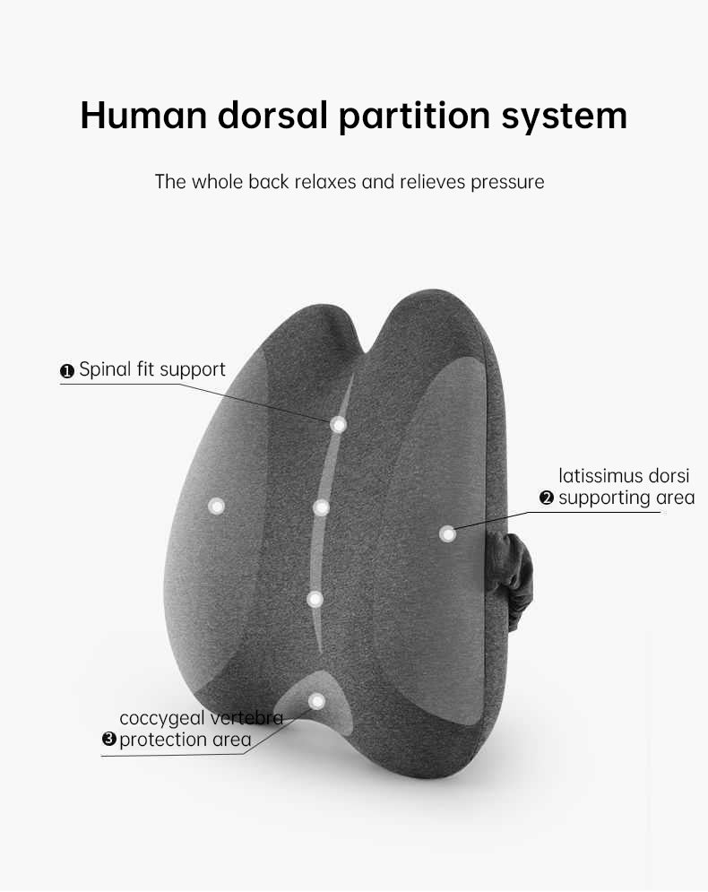 Lab Extra Dense Lumbar Pillow