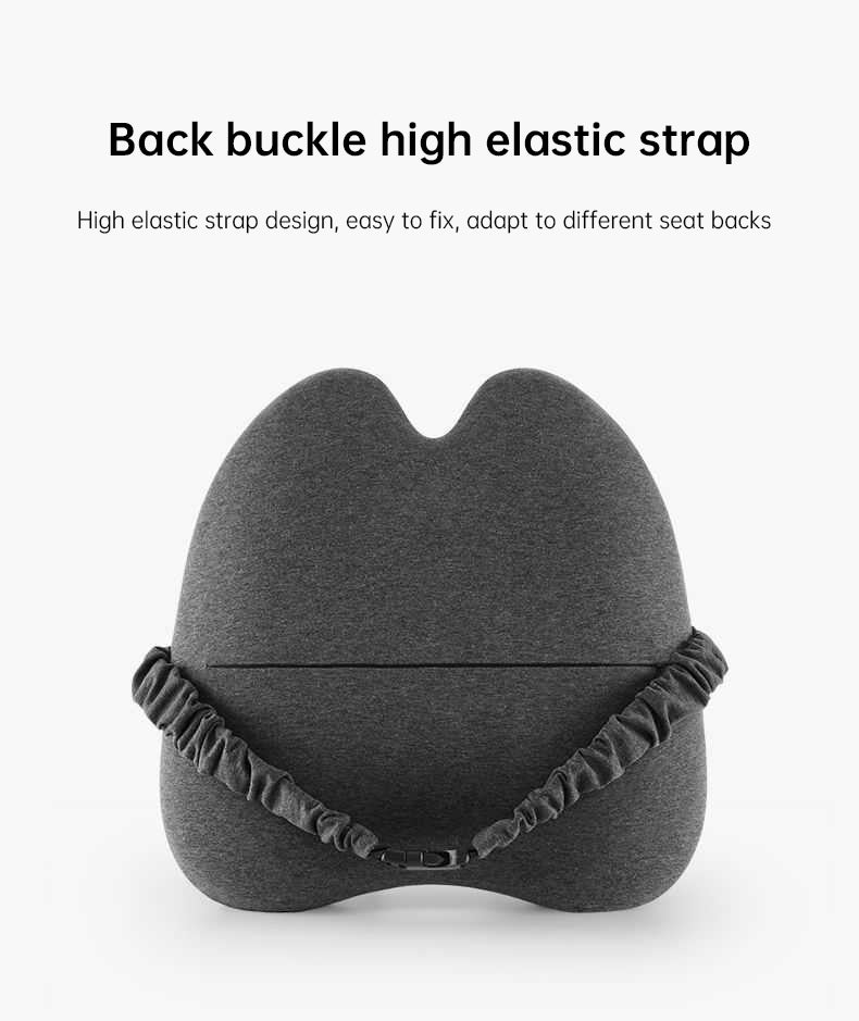 Lab Extra Dense Lumbar Pillow